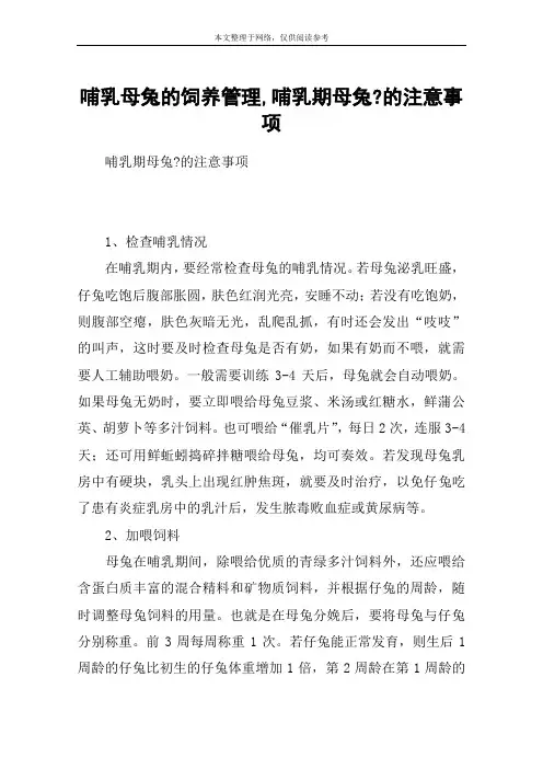 哺乳母兔的饲养管理,哺乳期母兔-的注意事项