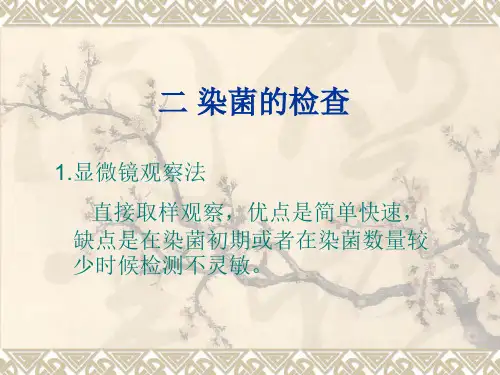 染菌的检查