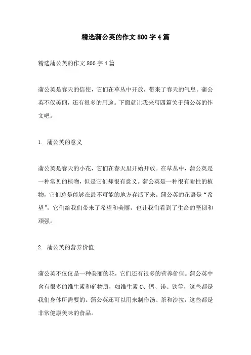 精选蒲公英的作文800字4篇