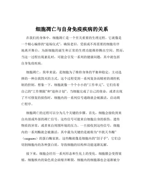 细胞凋亡与自身免疫疾病的关系