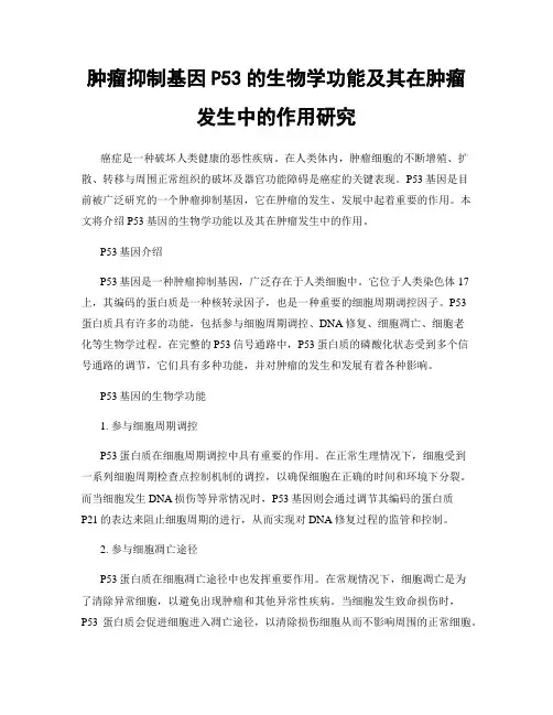 肿瘤抑制基因P53的生物学功能及其在肿瘤发生中的作用研究