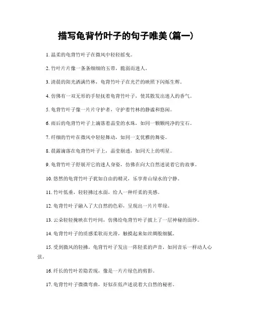 描写龟背竹叶子的句子唯美(精选2篇)
