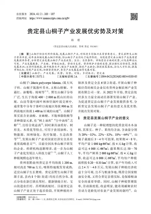 贵定县山桐子产业发展优劣势及对策