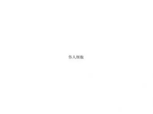 伟人细胞1
