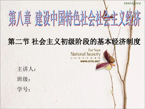 毛概第八章第二节PPT