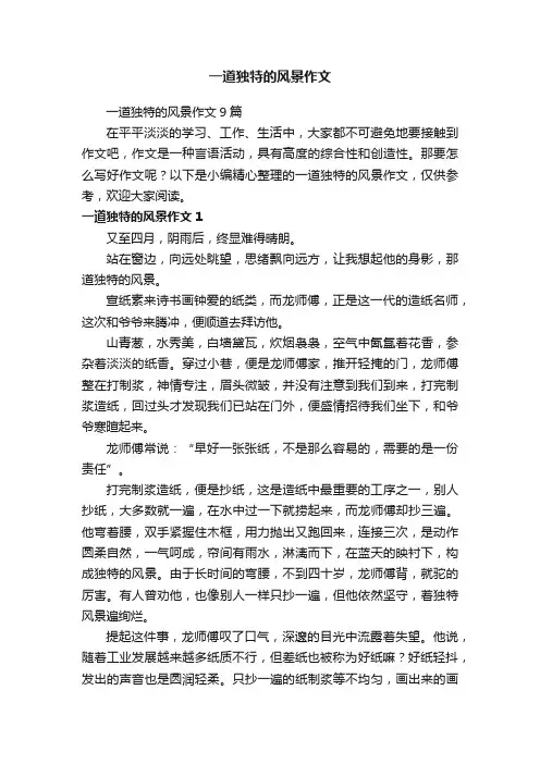 一道独特的风景作文9篇
