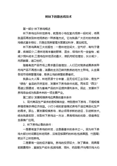 树林下的散养鸡技术