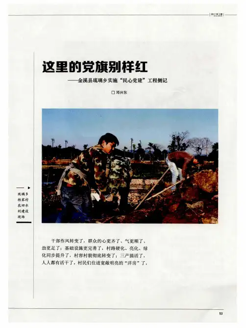 这里的党旗别样红——金溪县琉璃乡实施“民心党建”工程侧记