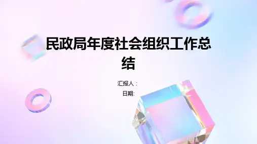 民政局年度社会组织工作总结
