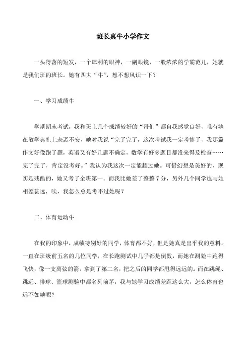 班长真牛小学作文