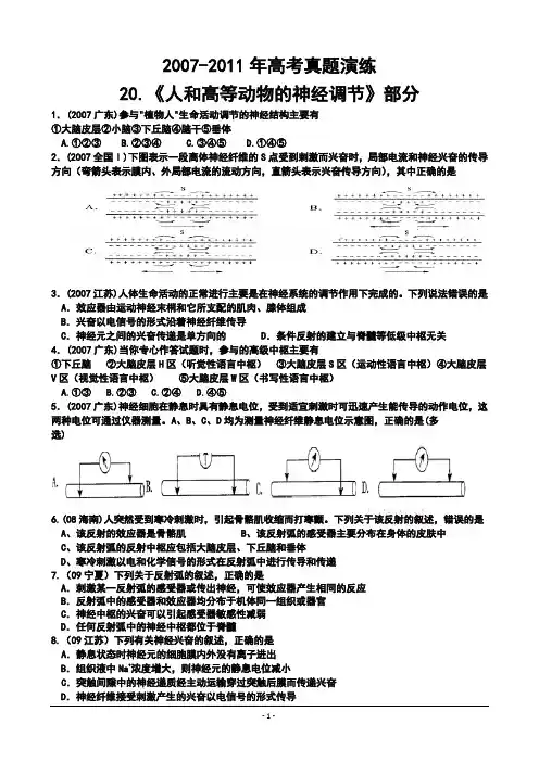 20人和高等动物的神经调节