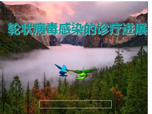 轮状病毒性肠炎PPT课件