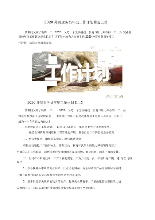 2020外贸业务员年度工作计划精选五篇