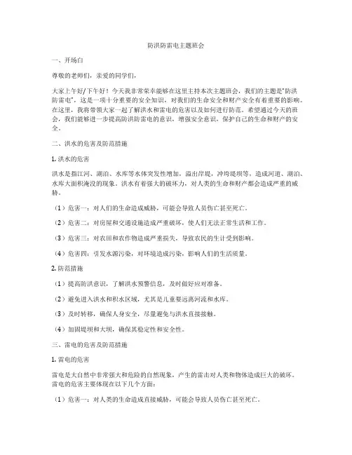 防洪防雷电主题班会