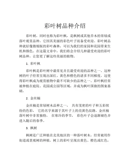 彩叶树品种介绍