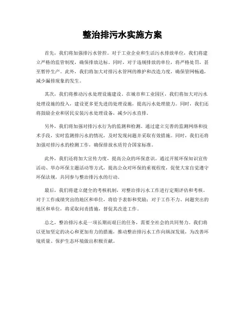 整治排污水实施方案