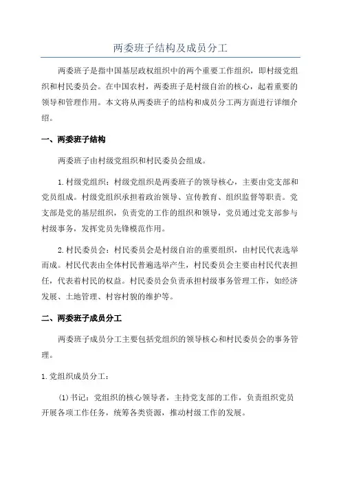 两委班子结构及成员分工