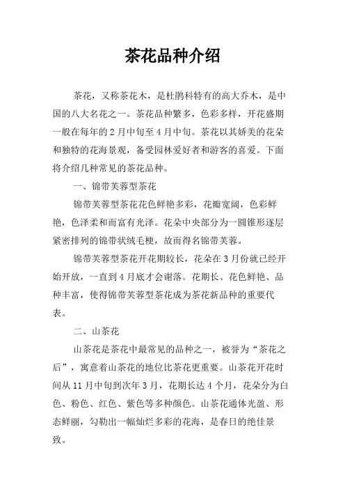 茶花品种介绍