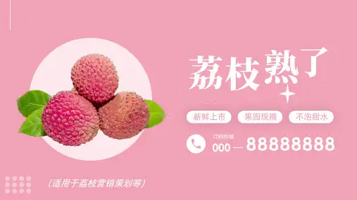 荔枝营销策划宣传推广PPT模板