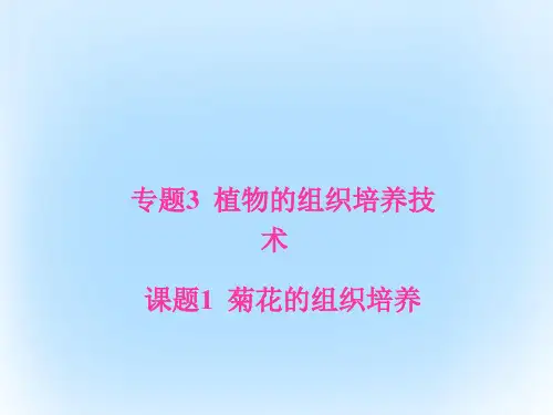 高中生物专题3植物的组织培养技术课题1菊花的组织培养课件新人教版选修1