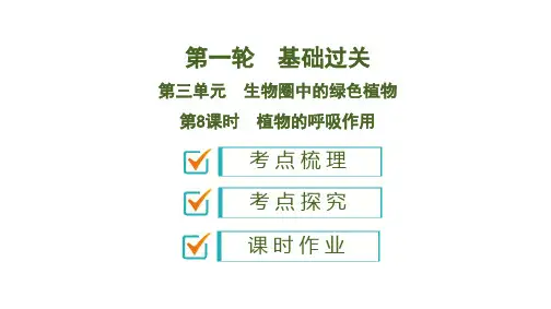 2020版人教中考生物新突破大一轮复习第8课时 植物的呼吸作用