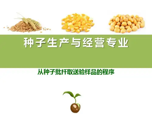 种子扦样技术—种子扦样和分样程序