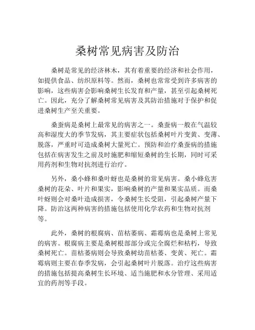 桑树常见病害及防治