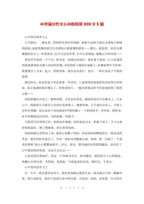 中考满分作文心中的风景800字5篇