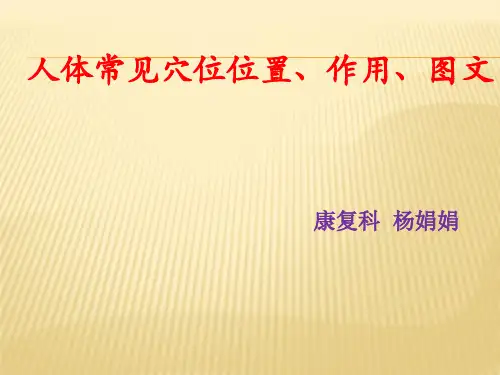 常见穴位.ppt