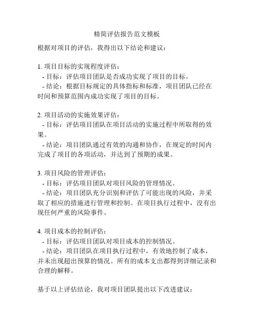 精简评估报告范文模板