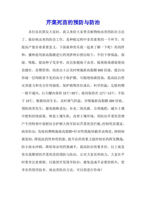 芹菜死苗的预防与防治