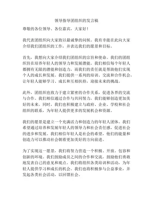领导指导团组织的发言稿