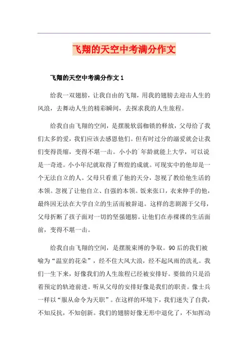 飞翔的天空中考满分作文