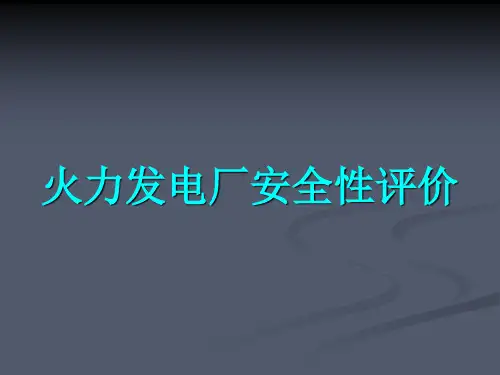 安全性评价