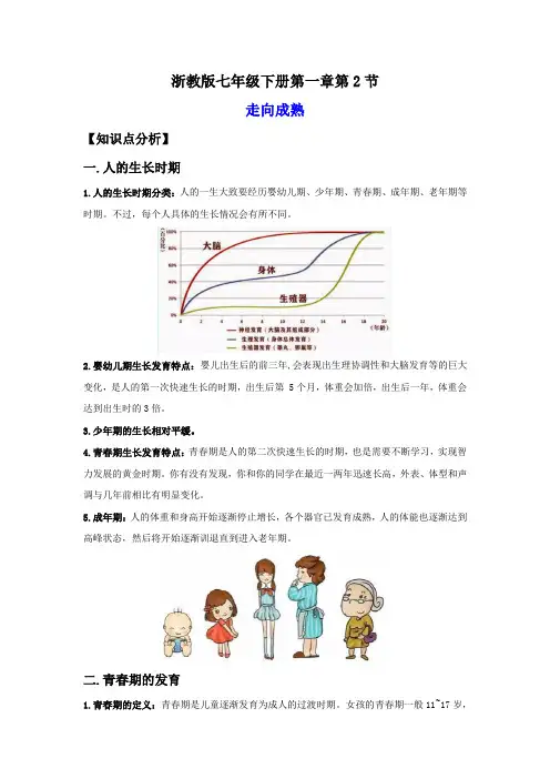 1-2走向成熟(讲义)-2023-2024学年七年级科学下册同步精品讲义(浙教版)