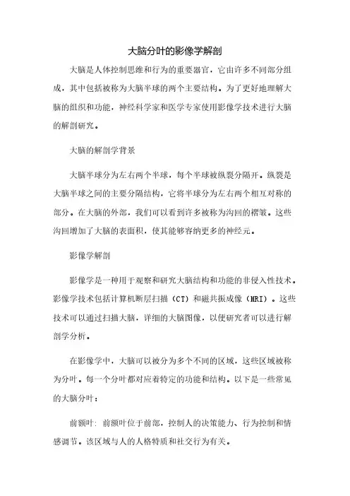 大脑分叶的影像学解剖