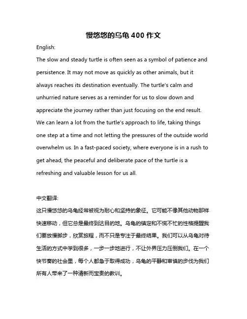 慢悠悠的乌龟400作文