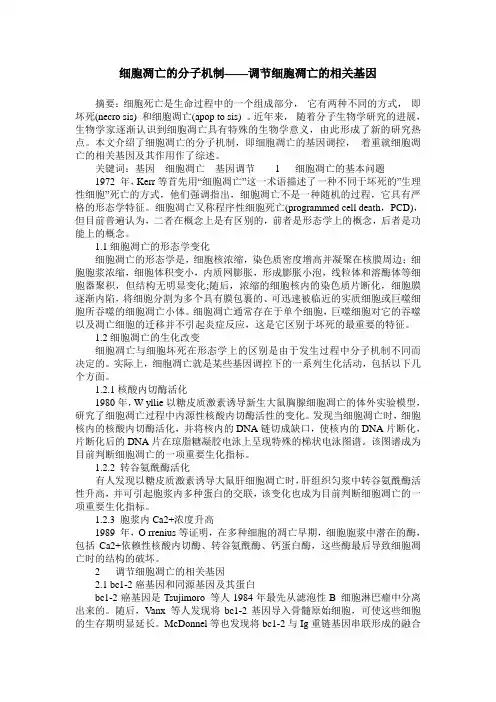 细胞凋亡的分子机制——调节细胞凋亡的相关基因
