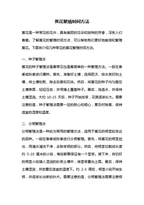 黄花繁殖时间方法