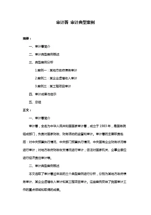审计署 审计典型案例