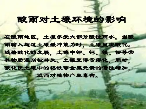 酸雨对土壤环境的影响