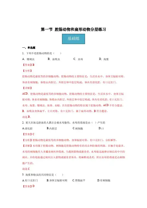 八年级生物上册(人教版)同步课堂5-1-1 腔肠动物和扁形动物(分层练习)