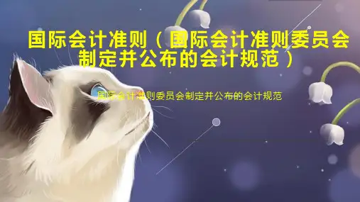 国际会计准则(国际会计准则委员会制定并公布的会计规范)