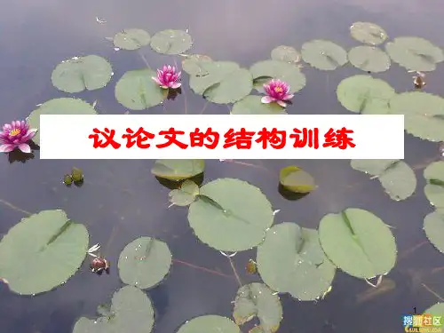 议论文写作结构之对照式ppt课件