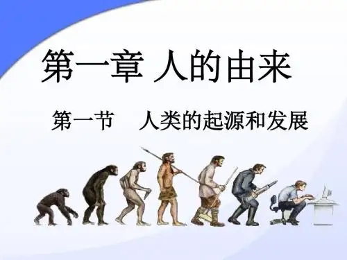 人类的起源和发展