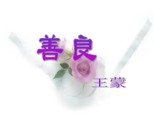 《善良》王蒙