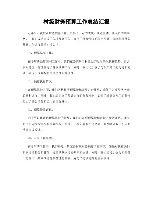 村级财务预算工作总结汇报