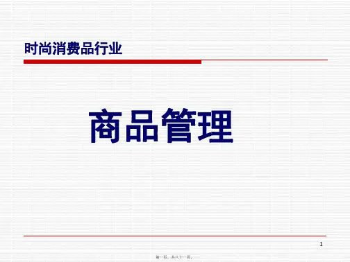 DBI邵立刚服装商务管理智能培训资料(共81PPT)