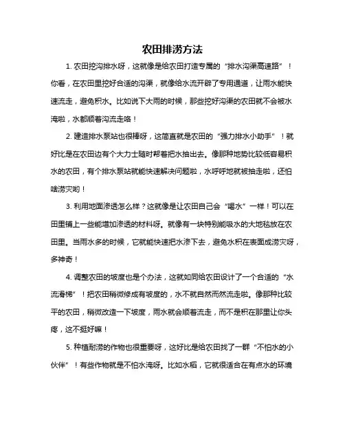 农田排涝方法