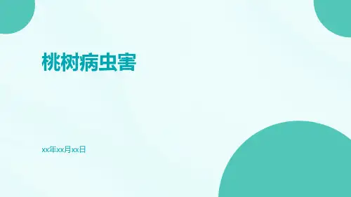桃树病虫害